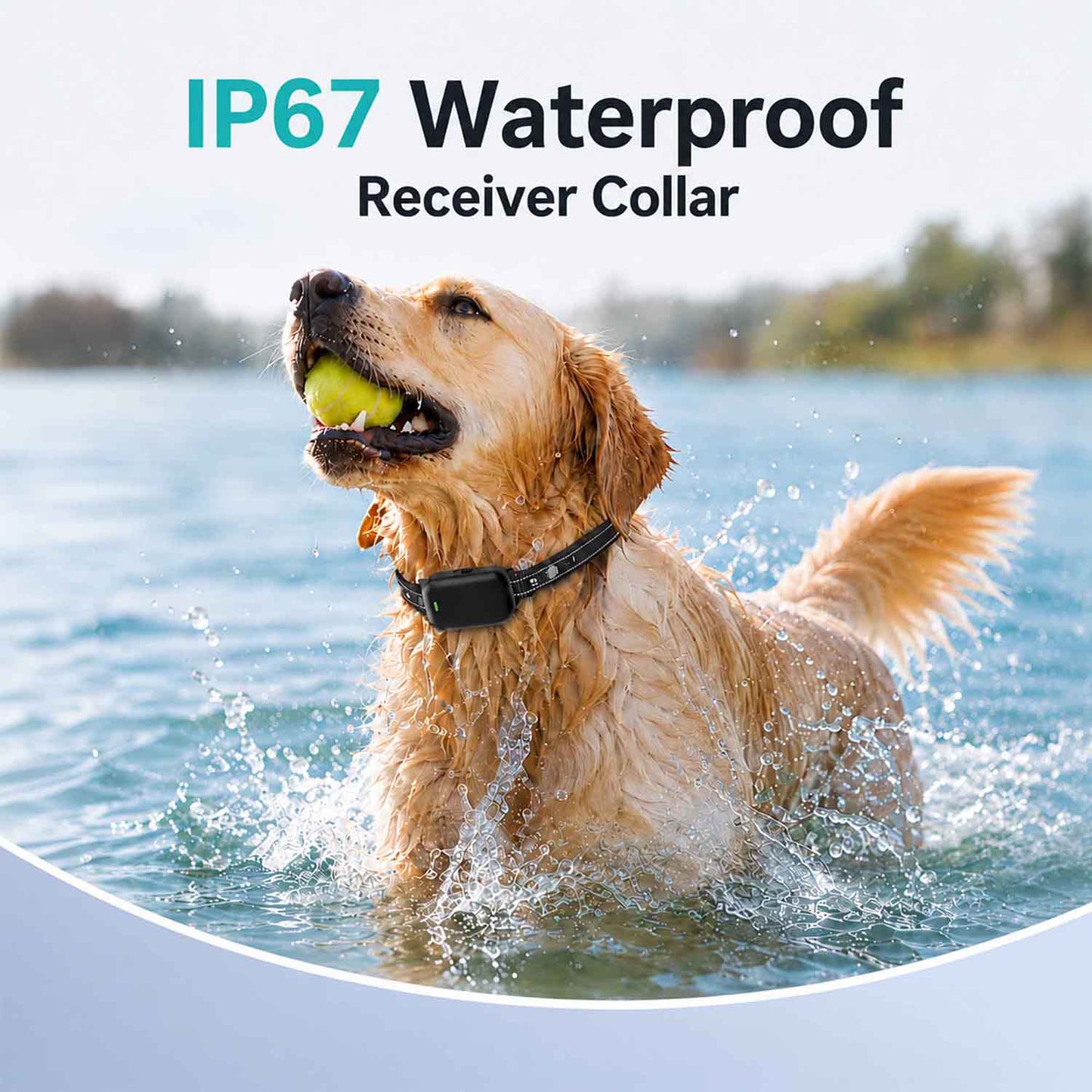 CICPAP Shock Collar for Small Dogs 5-30 lbs, Ultra-Compact Dog Training Collar with Remote, IP67 Waterproof Rechargeable E-Collar with 3 Modes, Safety Lock, 1600 ft Range
