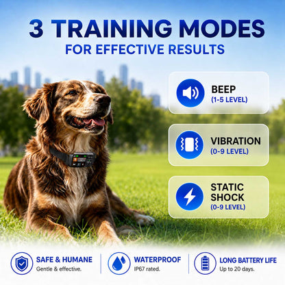 CICPAP GPS Wireless Dog Fence System, 49-6500 FT Circular and Custom-Shape Boundary, No Subscription, IP67 Waterproof Rechargeable Electric Fence Collar for 15-110 lb Dogs